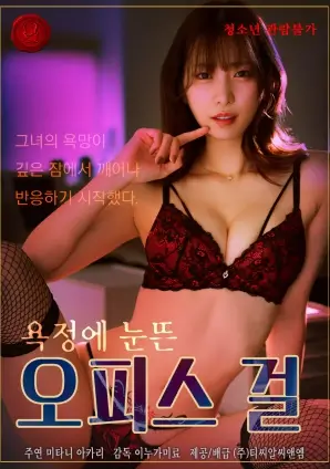 女性成长短剧她的第二次人生海报